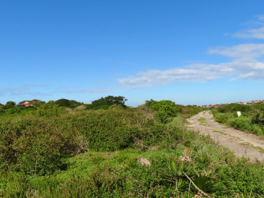 0 Bedroom Property for Sale in Forest Downs Eastern Cape